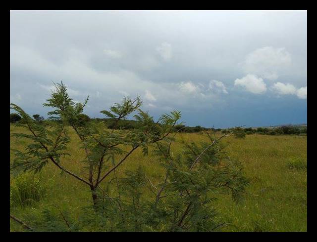 FARM FOR SALE IN VAAL MARINA